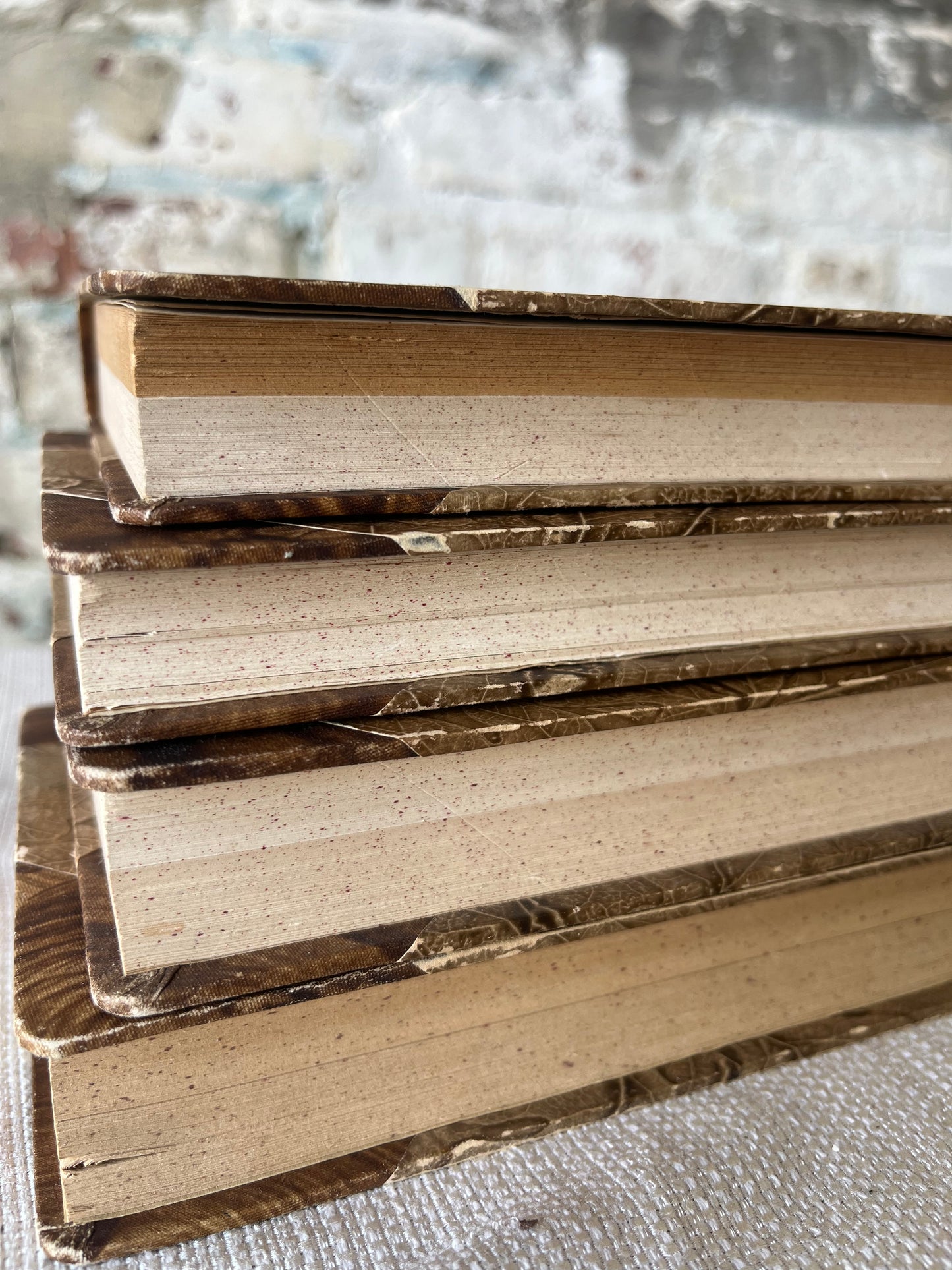 Antique European Book Set | Decorative Embossed Hardcovers | Set of 4