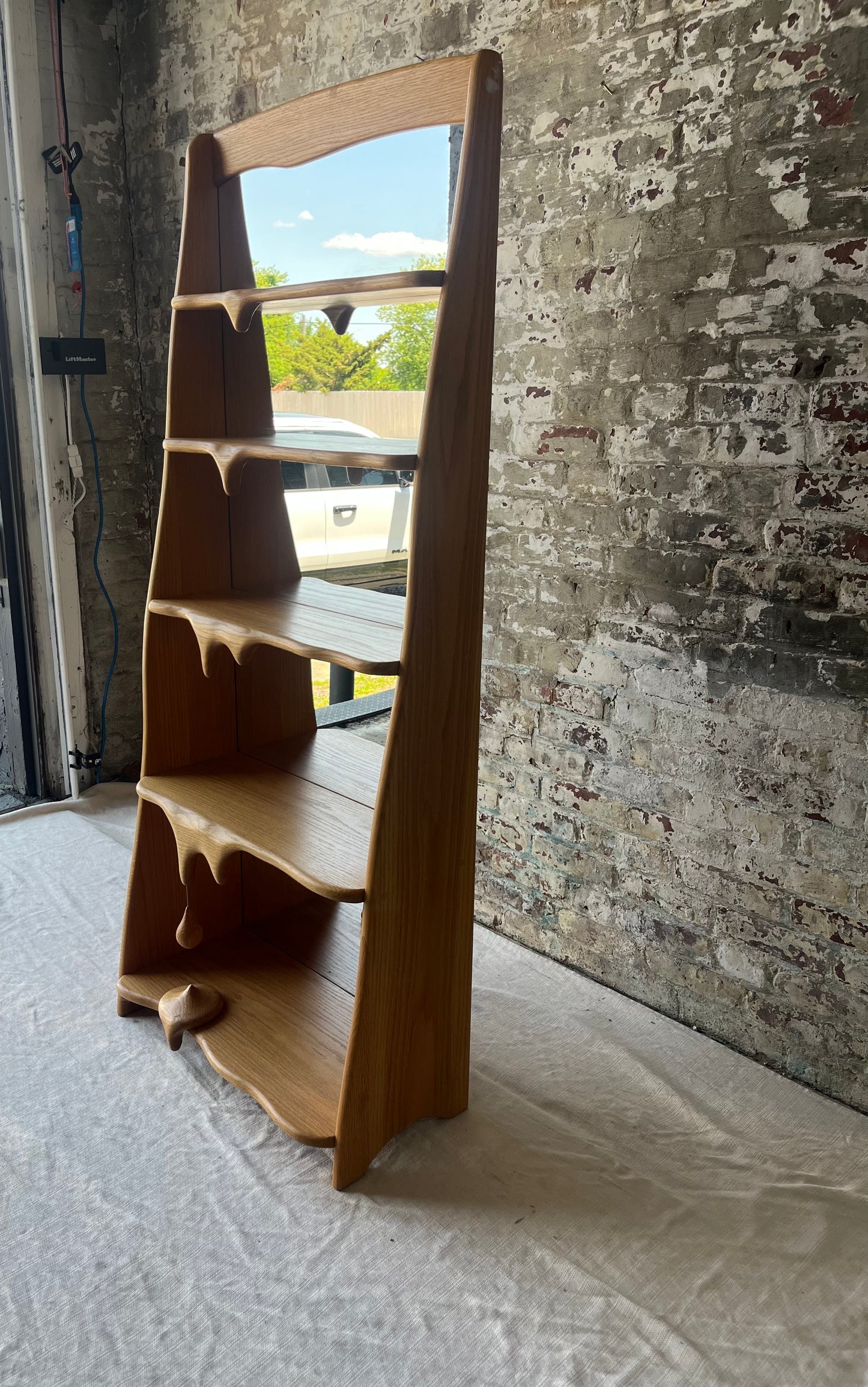 One of A Kind - Melty Bookcase