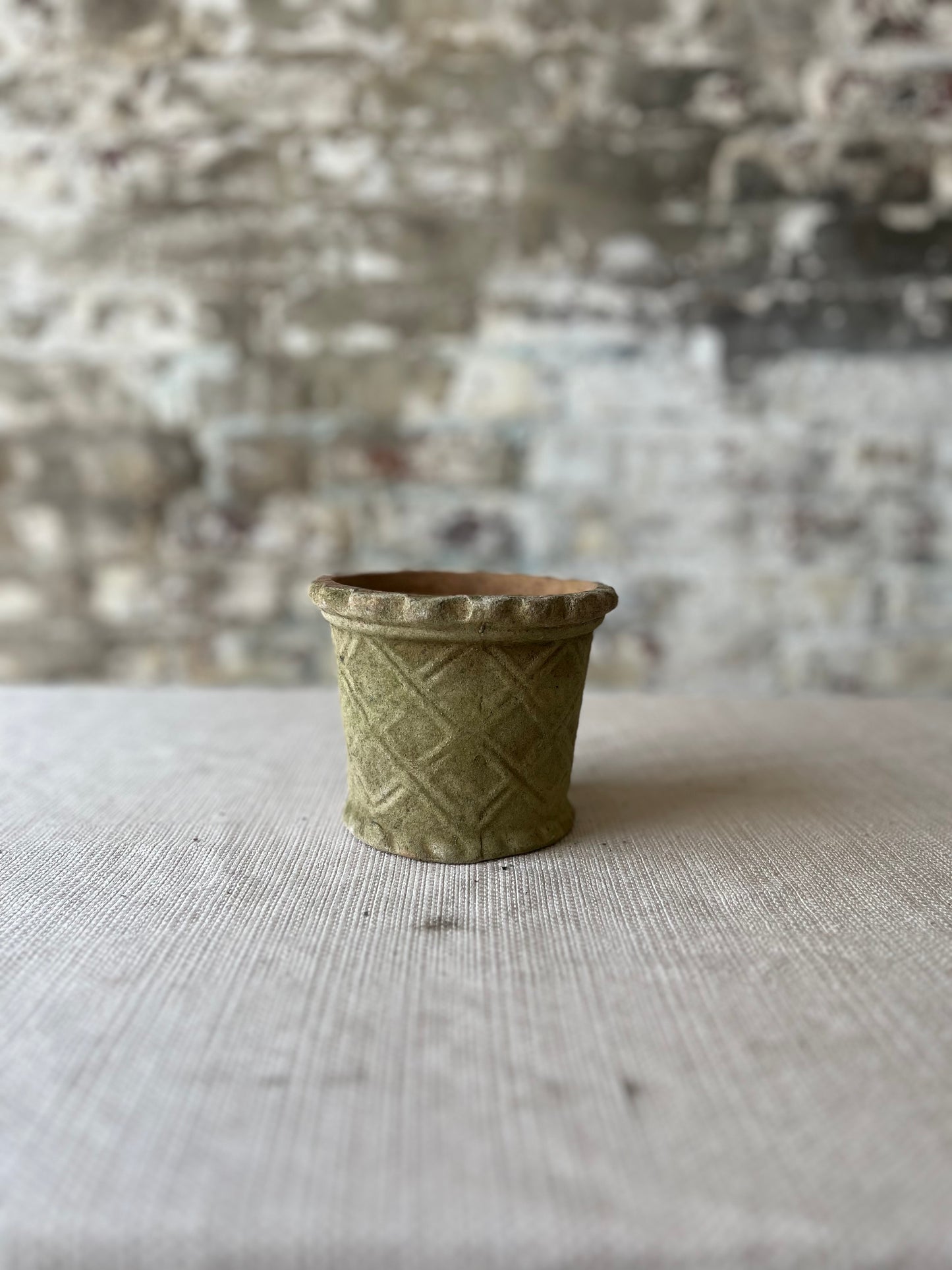 Real Moss Planter (Small)