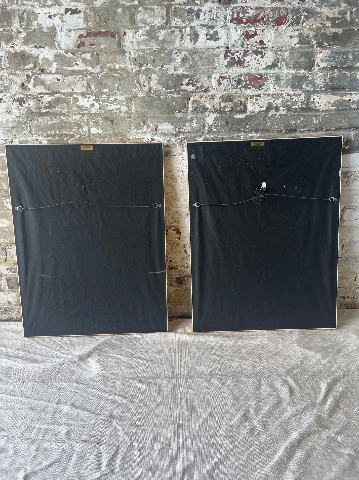 Vintage Botanical Floral Prints - Gold Framed Wall Art - Set of 2