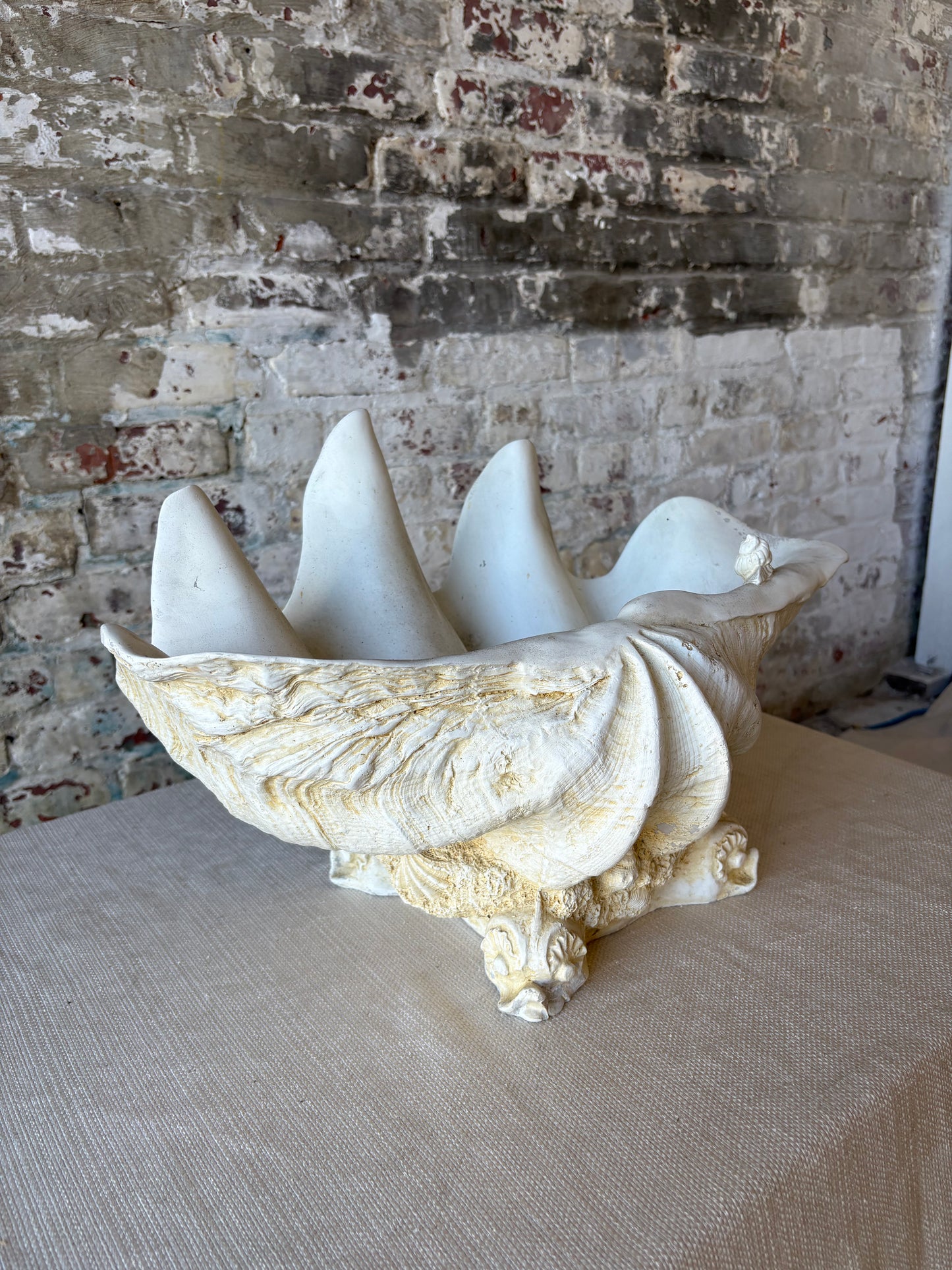 Vintage Monumental Shell Vessel
