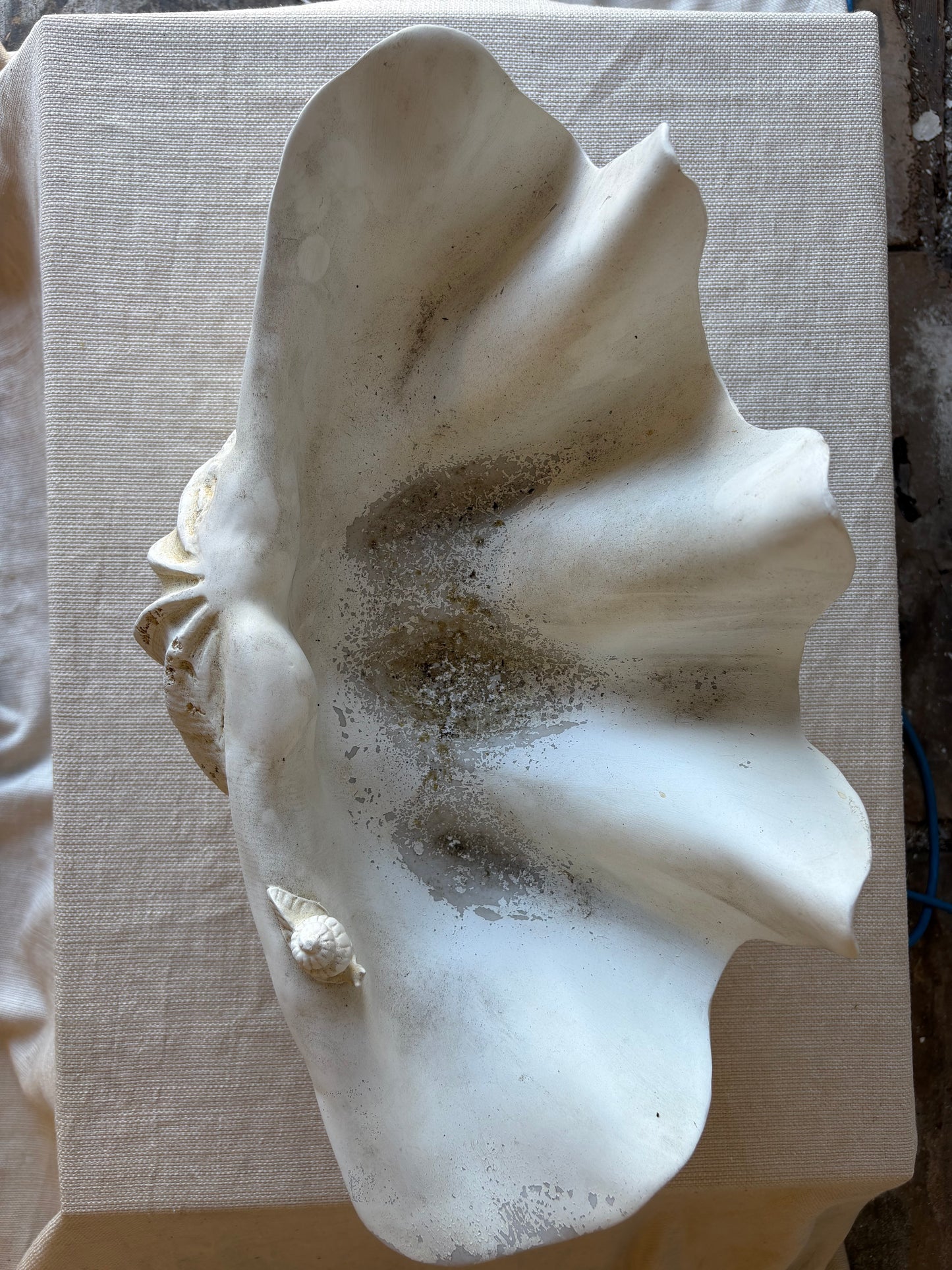 Vintage Monumental Shell Vessel