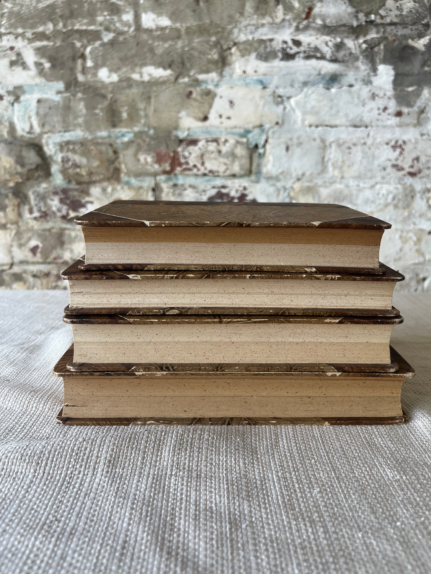 Antique European Book Set | Decorative Embossed Hardcovers | Set of 4