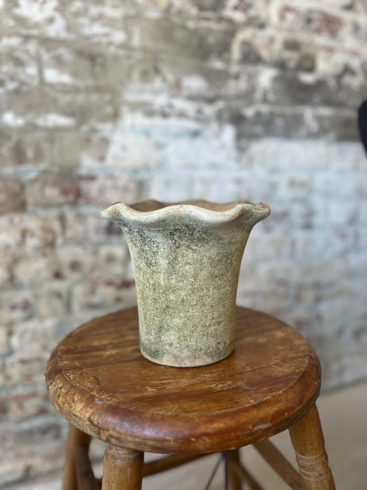 Real Moss Planter (Medium)