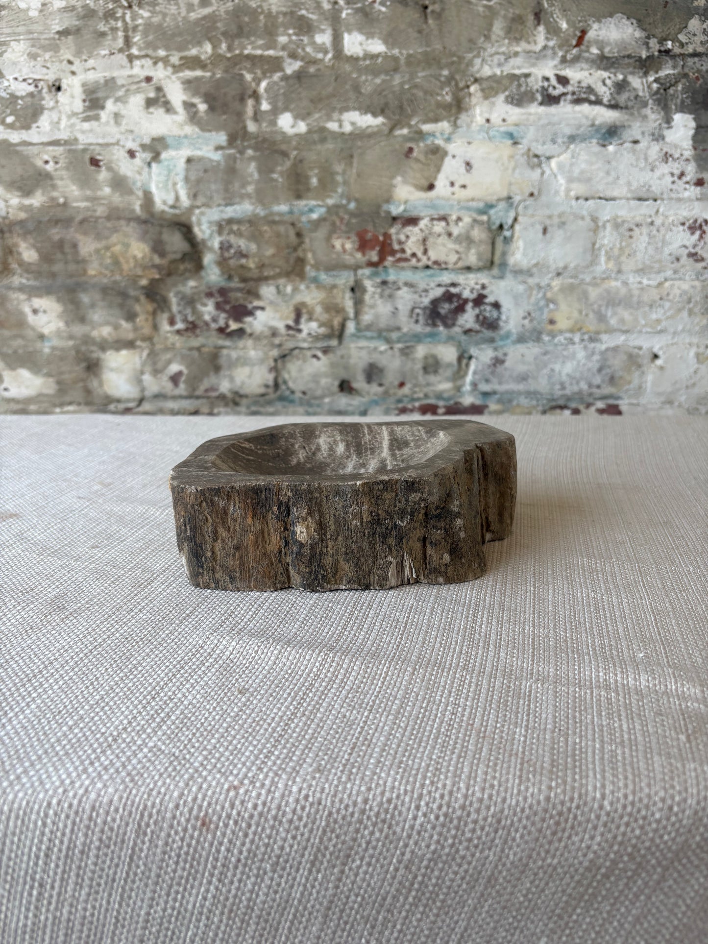 Hand-Carved Petrified Teak Bowl / Organic Rustic Decorative Vessel