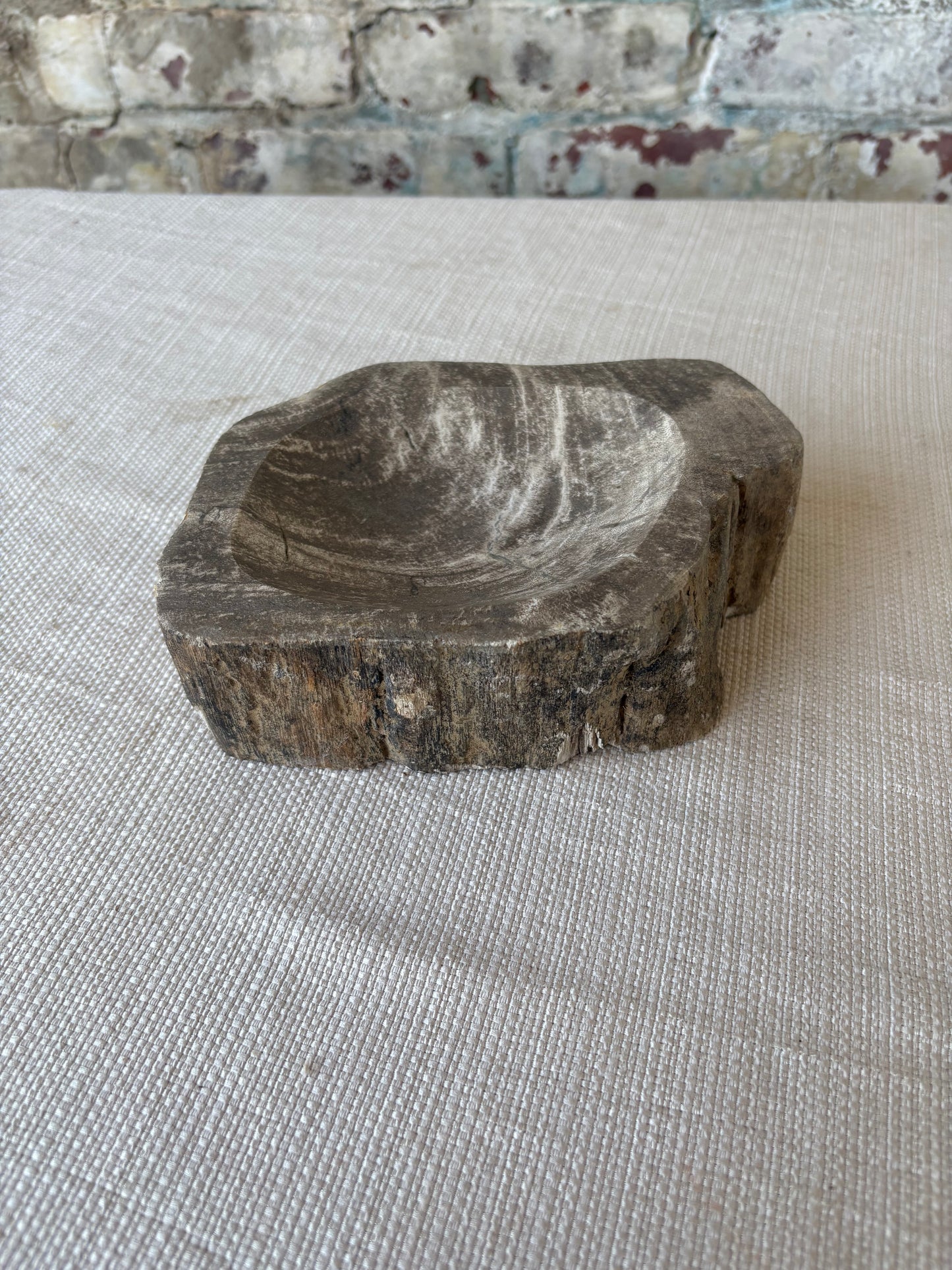Hand-Carved Petrified Teak Bowl / Organic Rustic Decorative Vessel