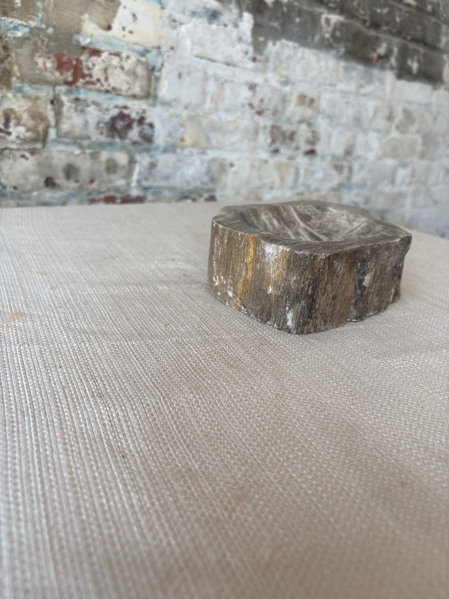 Hand-Carved Petrified Teak Bowl / Organic Rustic Decorative Vessel