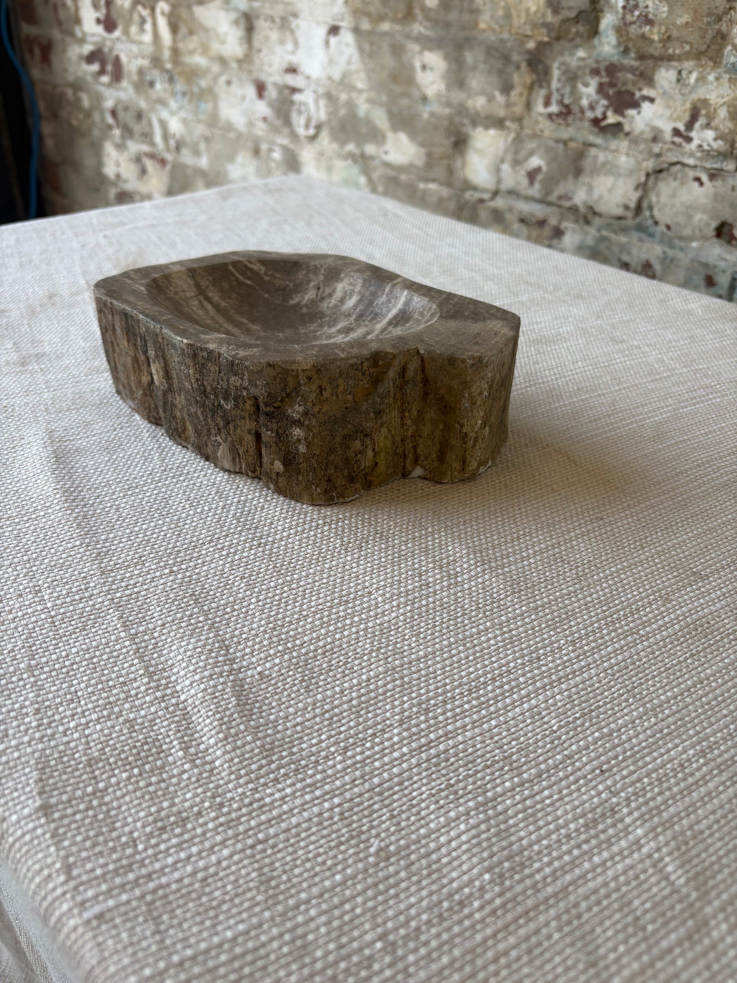 Hand-Carved Petrified Teak Bowl / Organic Rustic Decorative Vessel