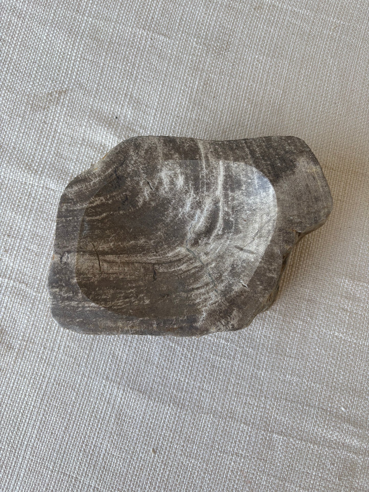 Hand-Carved Petrified Teak Bowl / Organic Rustic Decorative Vessel