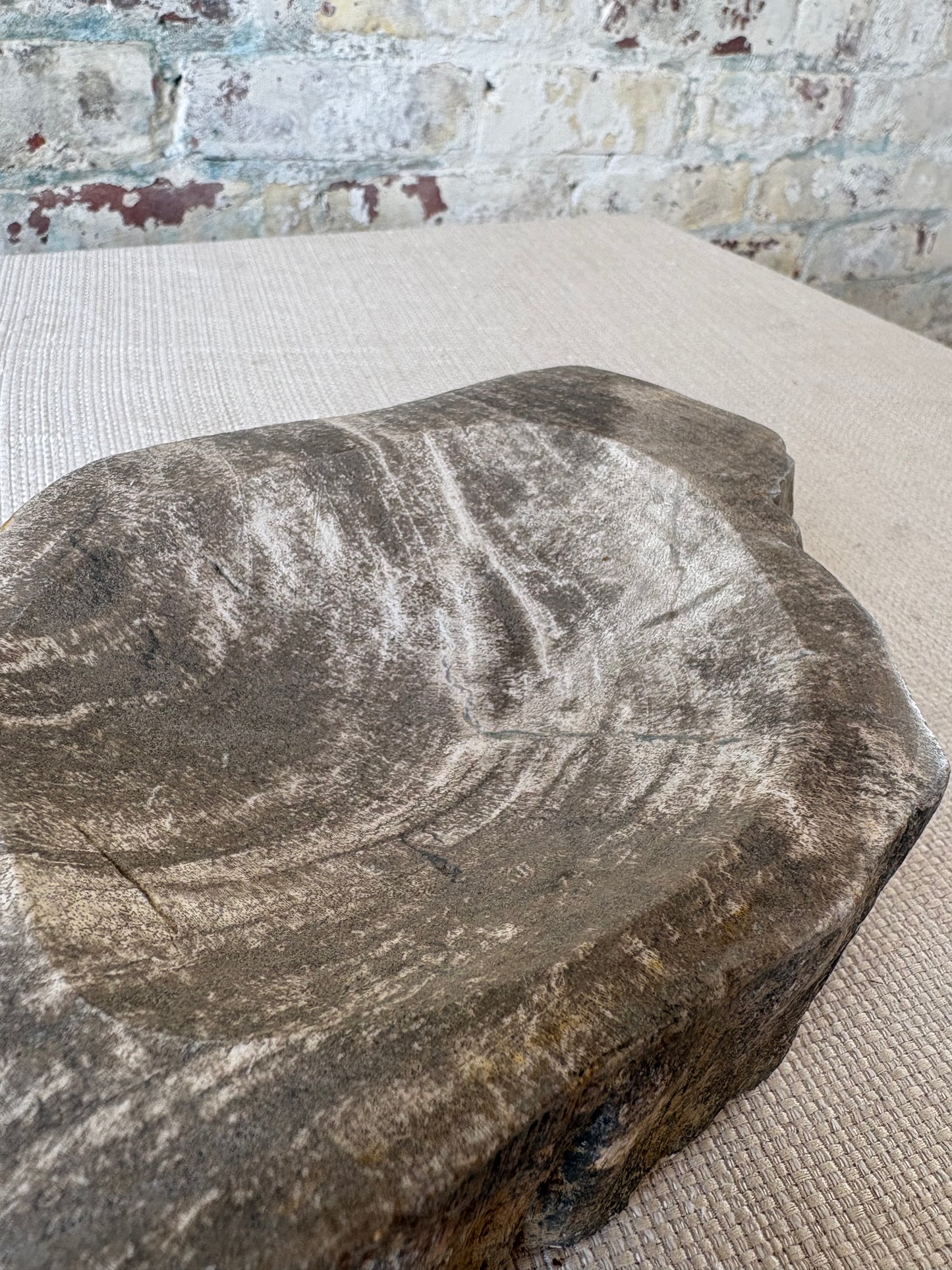 Hand-Carved Petrified Teak Bowl / Organic Rustic Decorative Vessel
