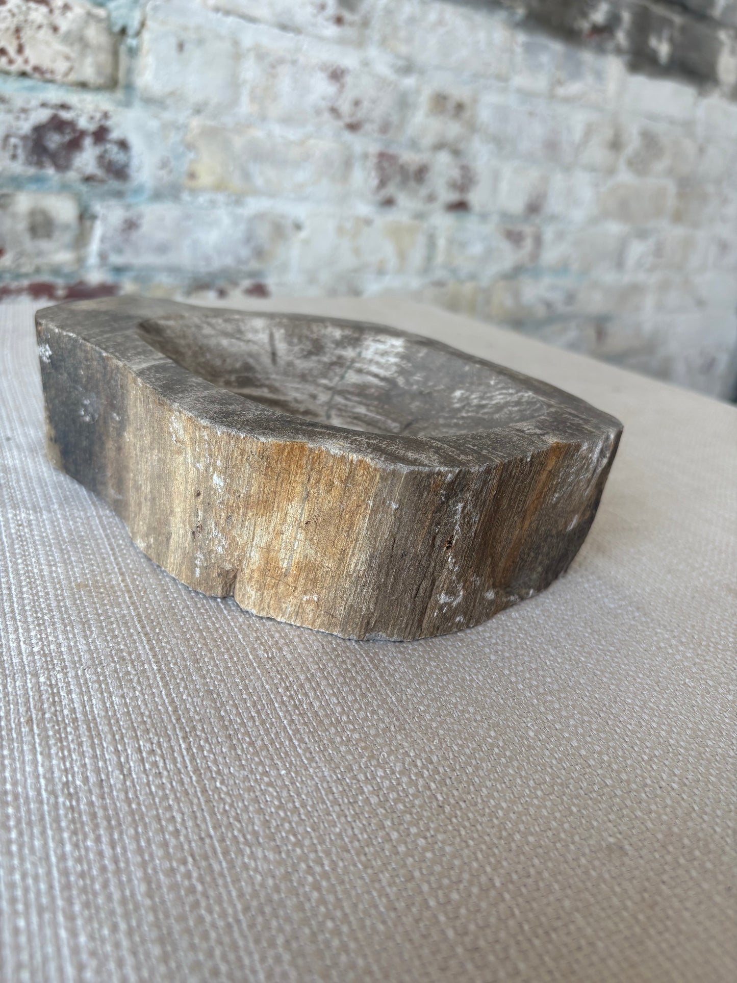 Hand-Carved Petrified Teak Bowl / Organic Rustic Decorative Vessel