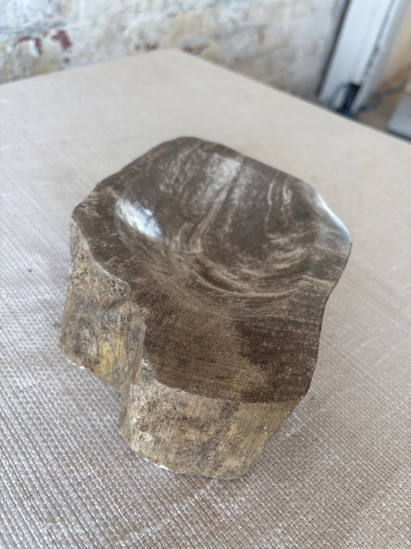 Hand-Carved Petrified Teak Bowl / Organic Rustic Decorative Vessel