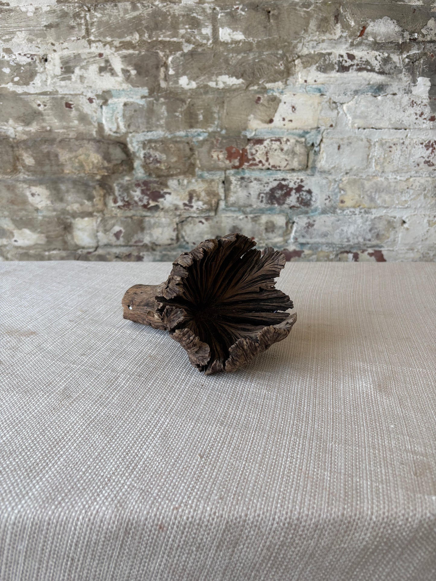 Natural Wood Tree Flower Sculpture / Organic Botanical Decor Object