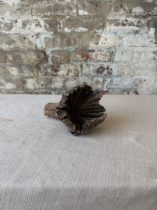 Natural Wood Tree Flower Sculpture / Organic Botanical Decor Object