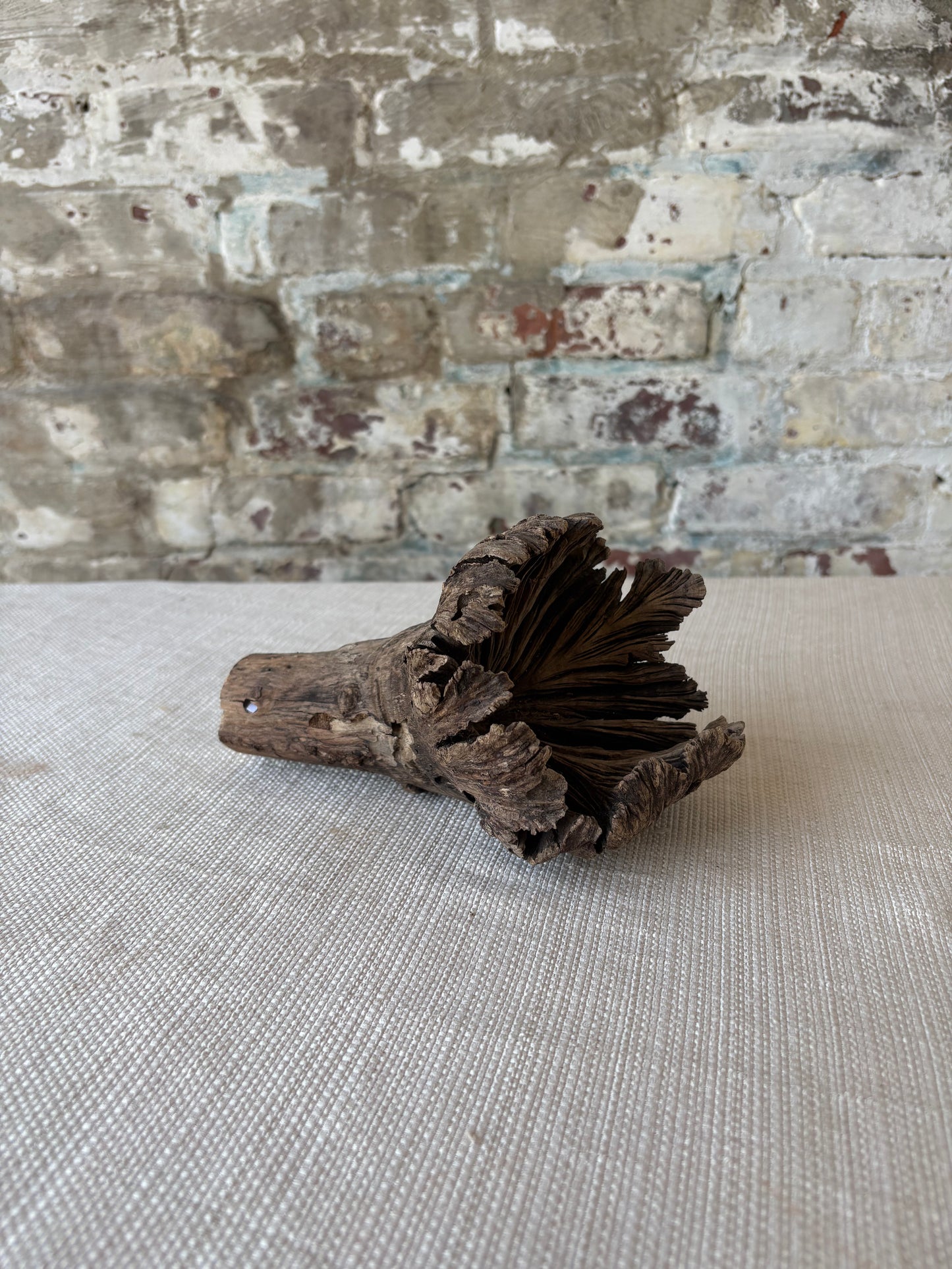 Natural Wood Tree Flower Sculpture / Organic Botanical Decor Object