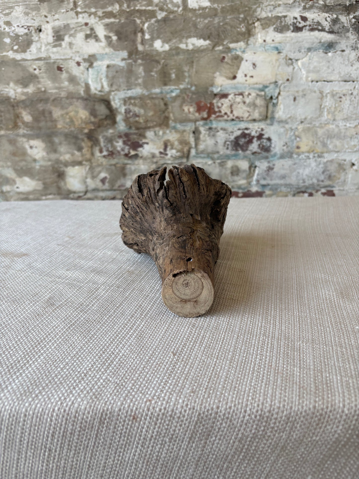 Natural Wood Tree Flower Sculpture / Organic Botanical Decor Object