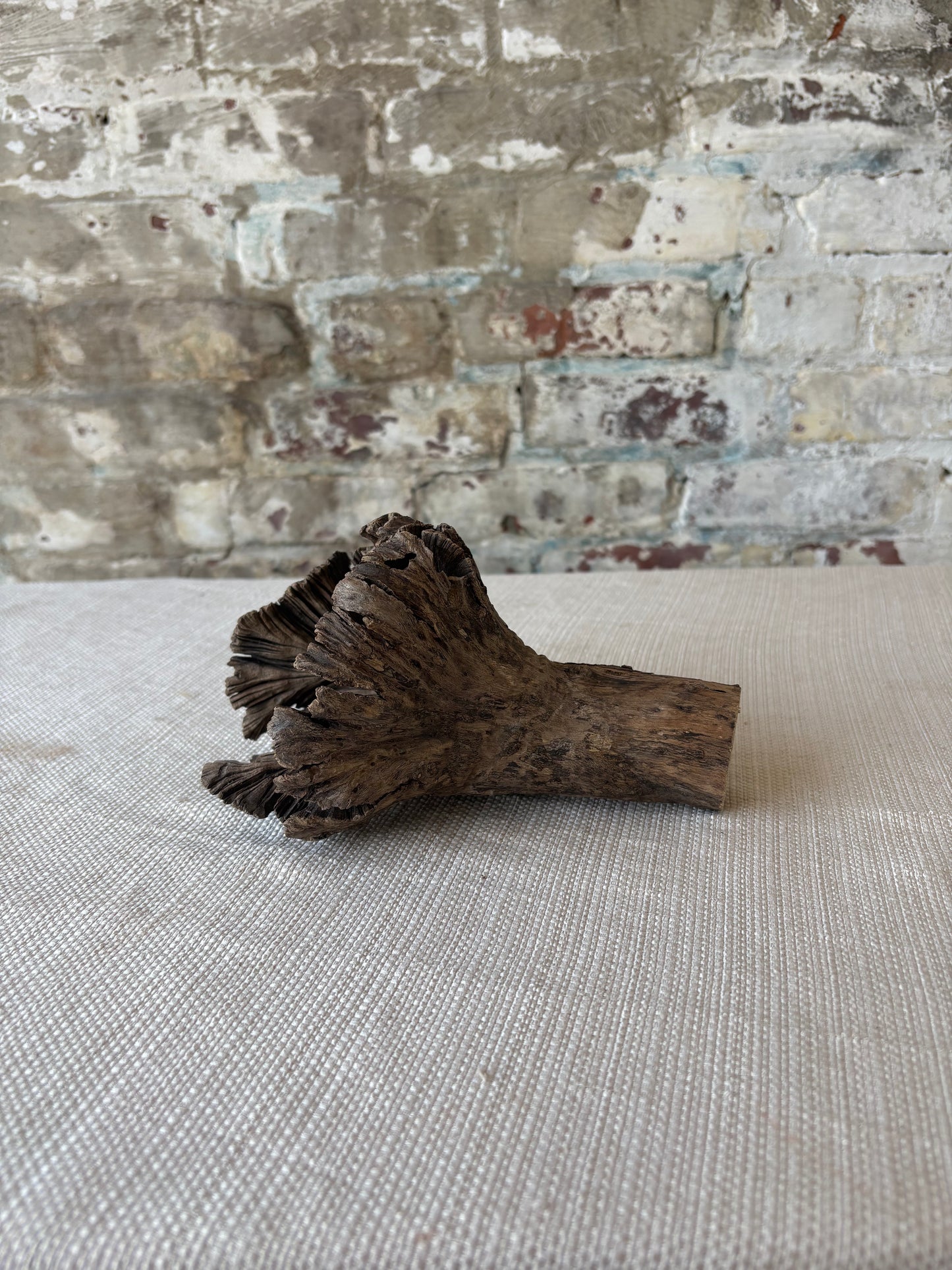Natural Wood Tree Flower Sculpture / Organic Botanical Decor Object