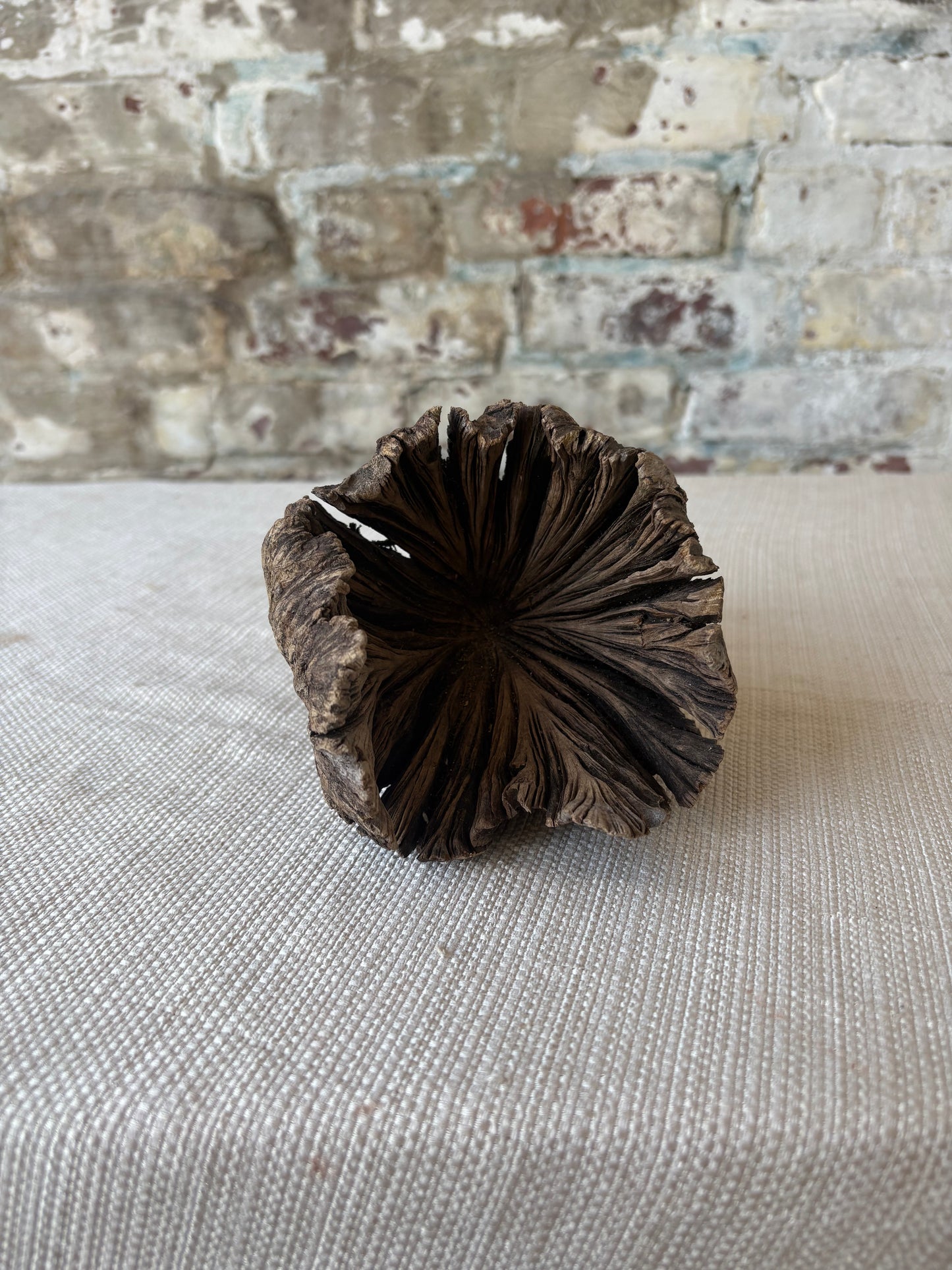 Natural Wood Tree Flower Sculpture / Organic Botanical Decor Object