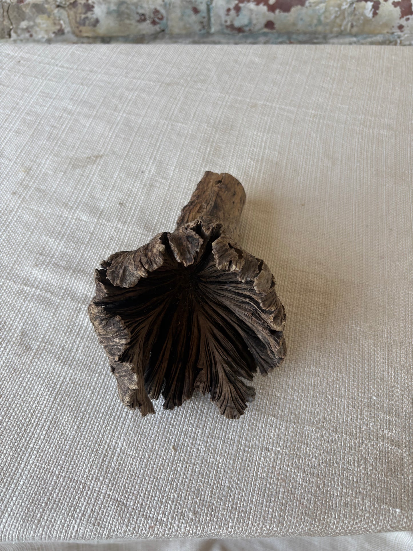 Natural Wood Tree Flower Sculpture / Organic Botanical Decor Object