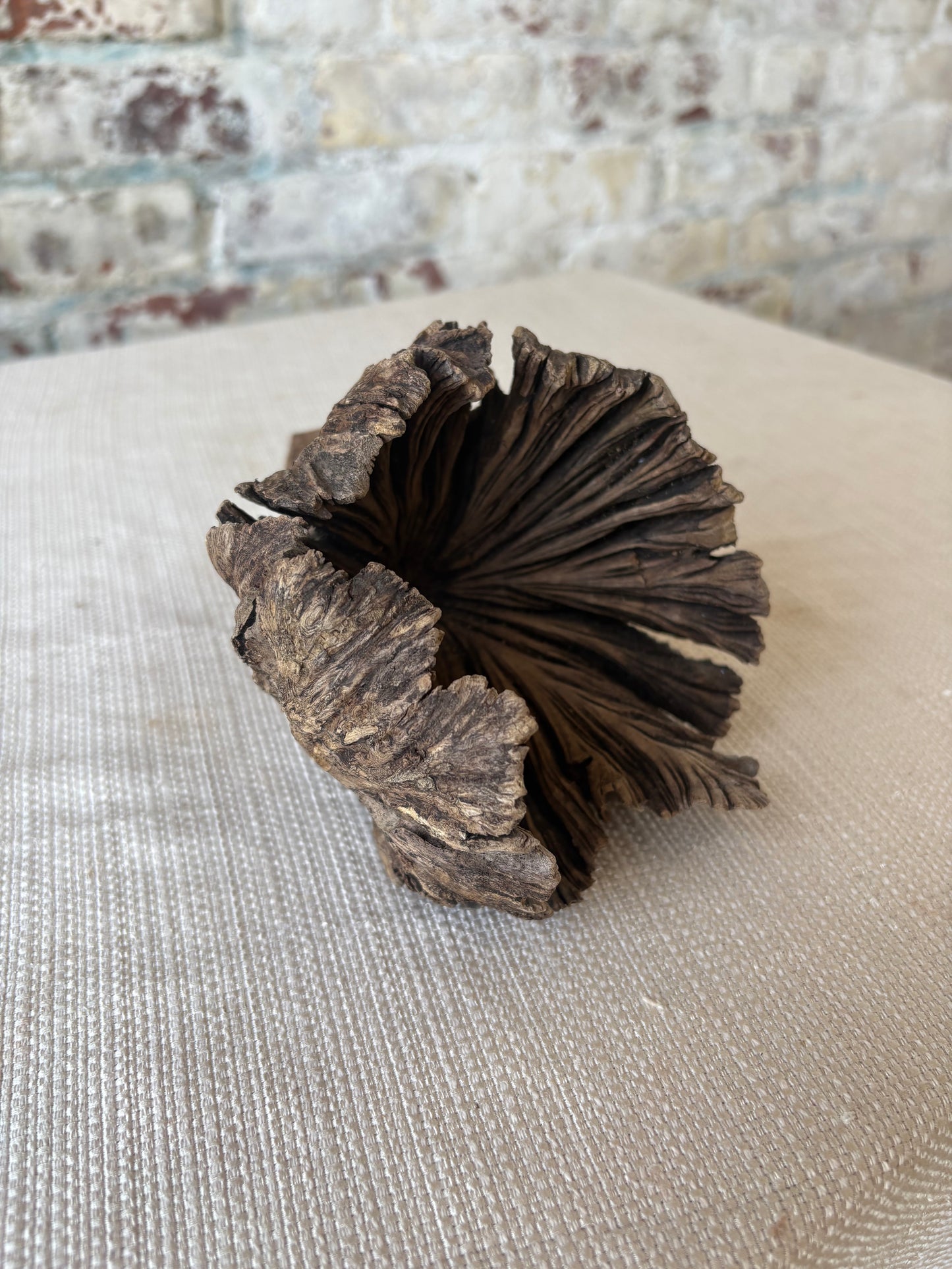 Natural Wood Tree Flower Sculpture / Organic Botanical Decor Object