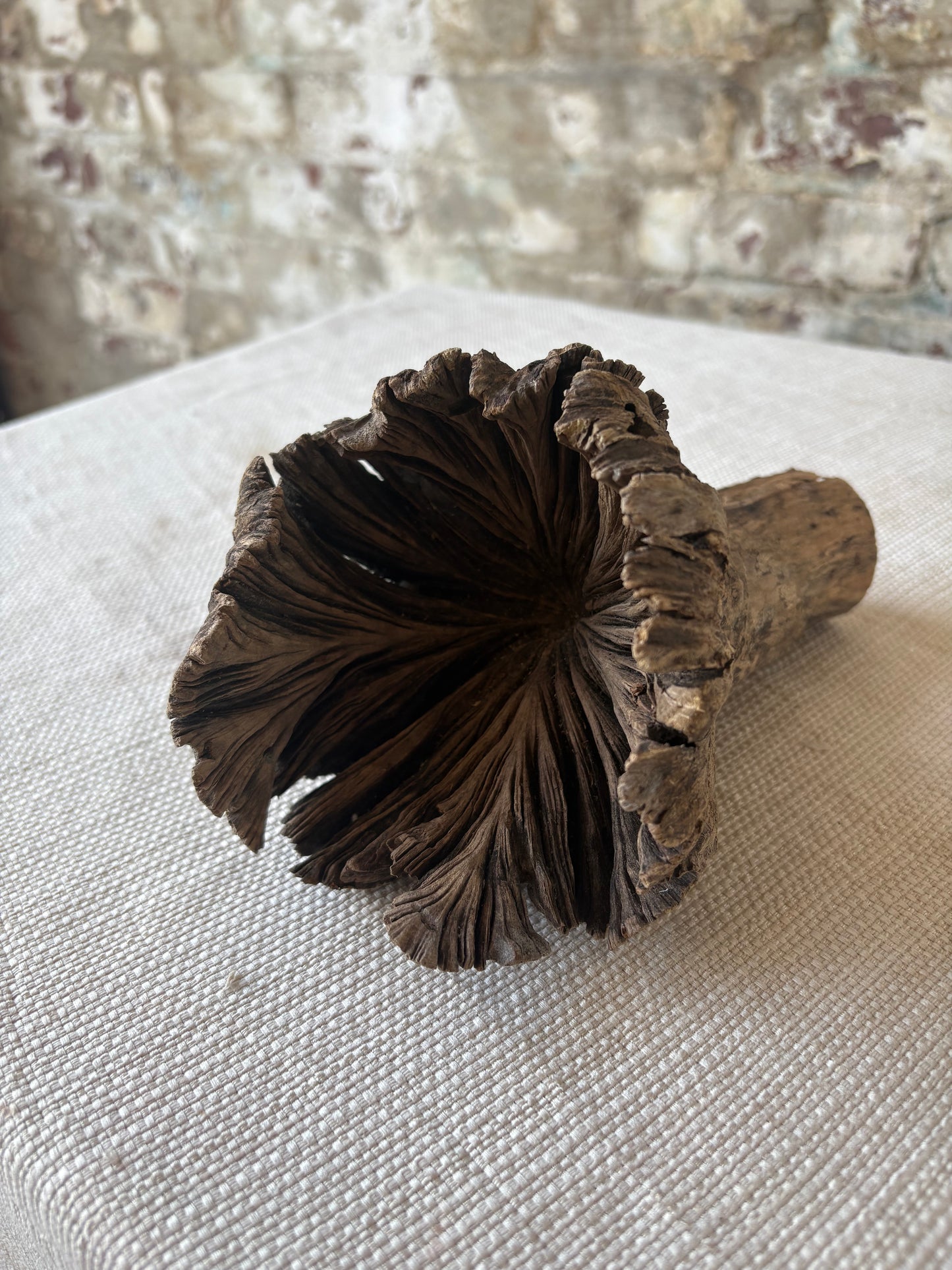Natural Wood Tree Flower Sculpture / Organic Botanical Decor Object