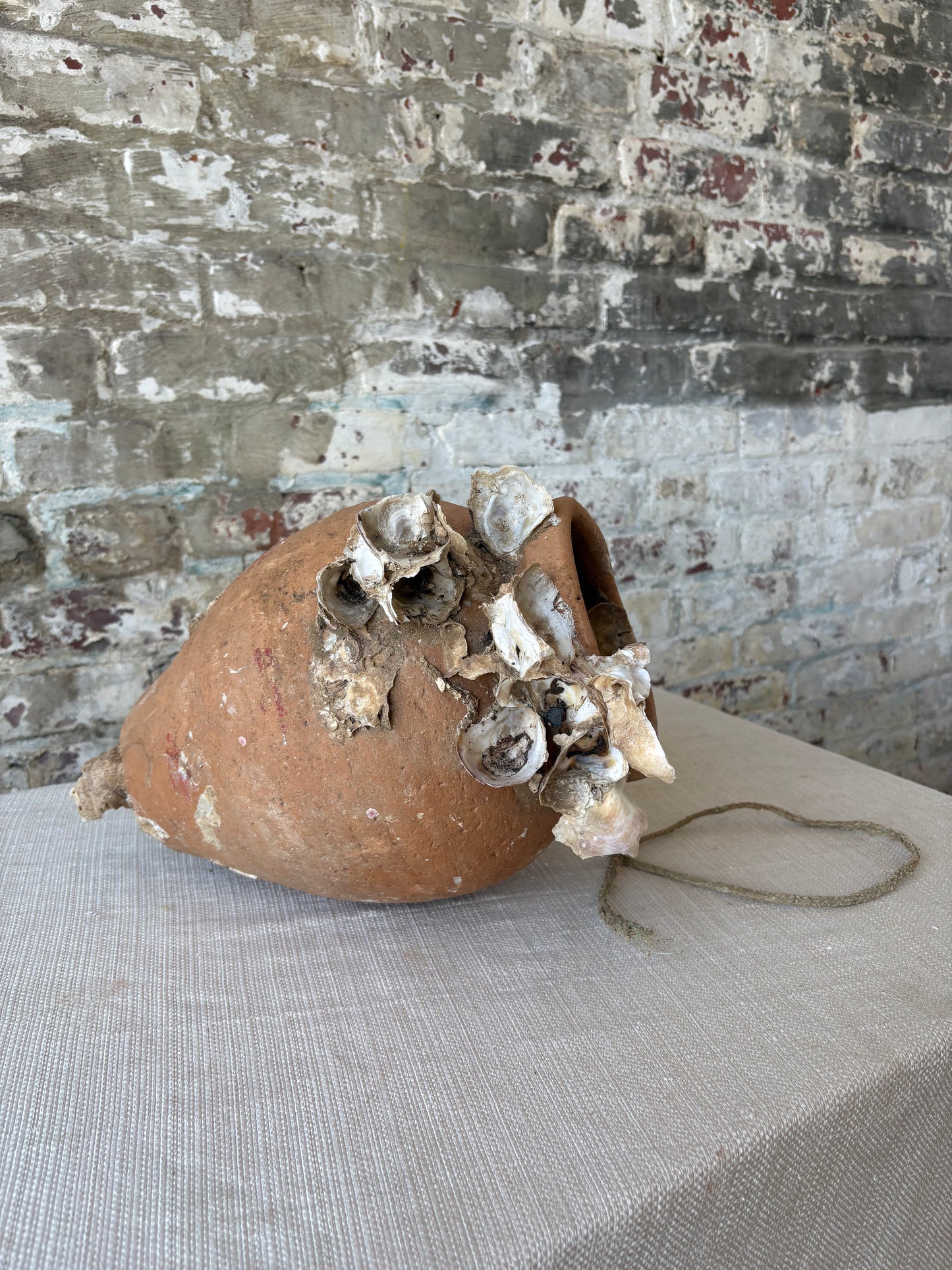 Antique Mediterranean Terracotta Octopus Trap with Oyster Growth – Authentic Fisherman’s Pot