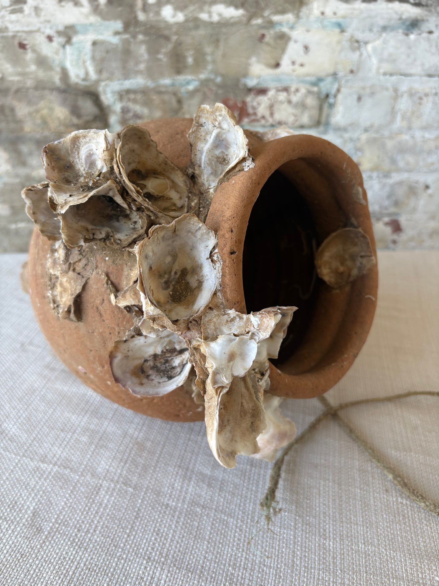 Antique Mediterranean Terracotta Octopus Trap with Oyster Growth – Authentic Fisherman’s Pot
