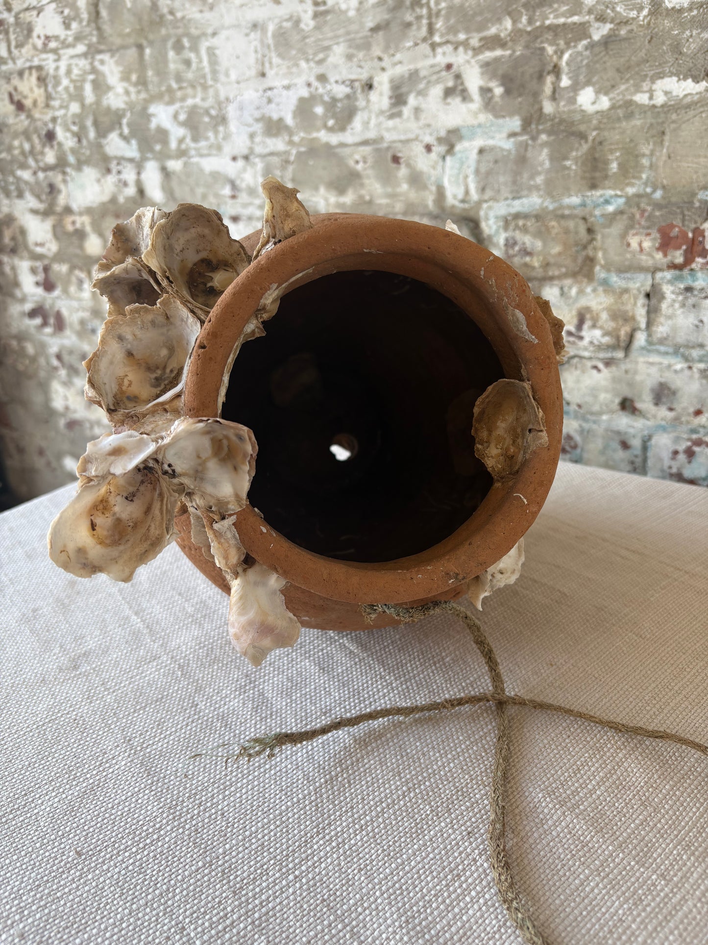 Antique Mediterranean Terracotta Octopus Trap with Oyster Growth – Authentic Fisherman’s Pot
