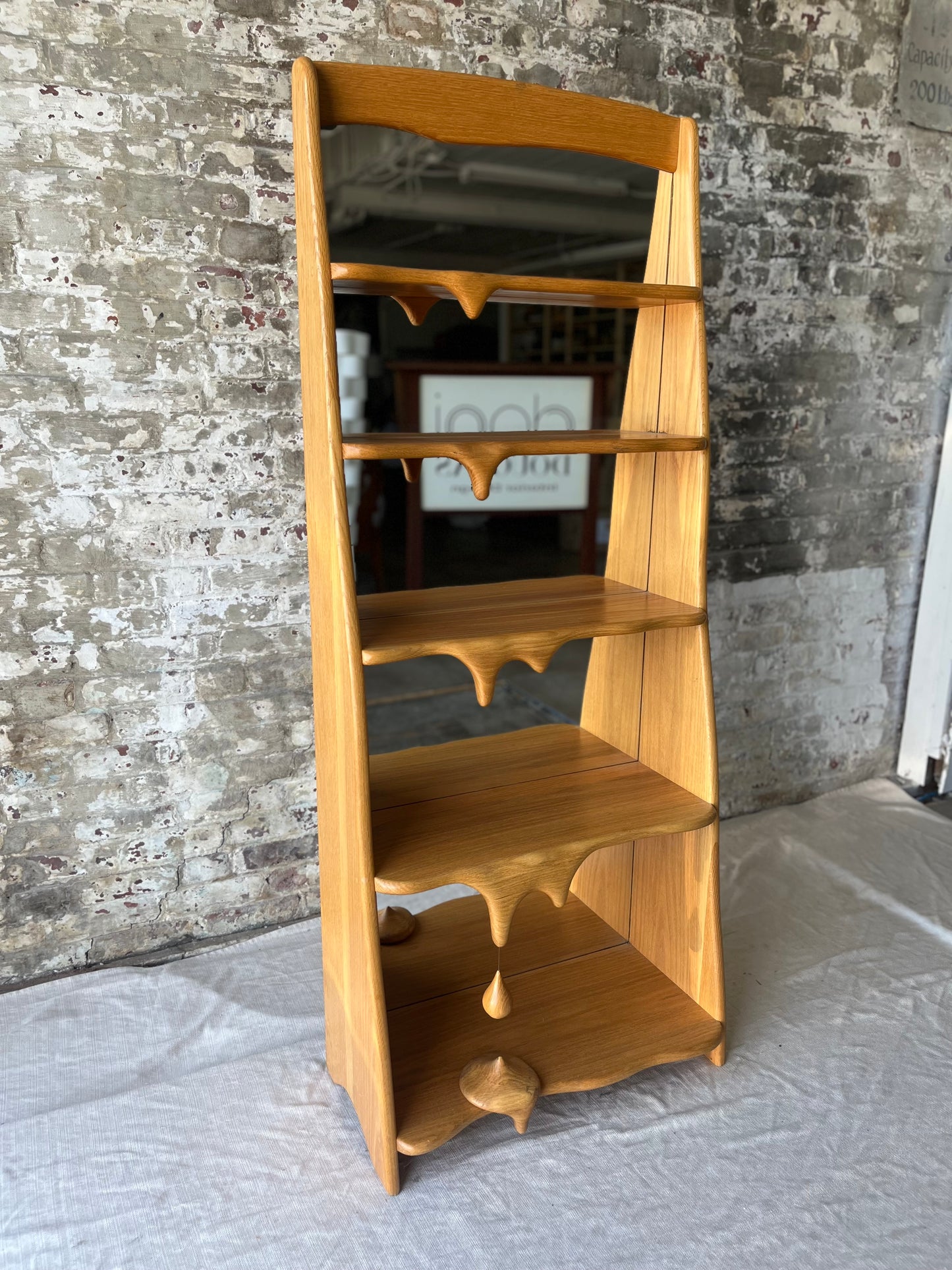 One of A Kind - Melty Bookcase