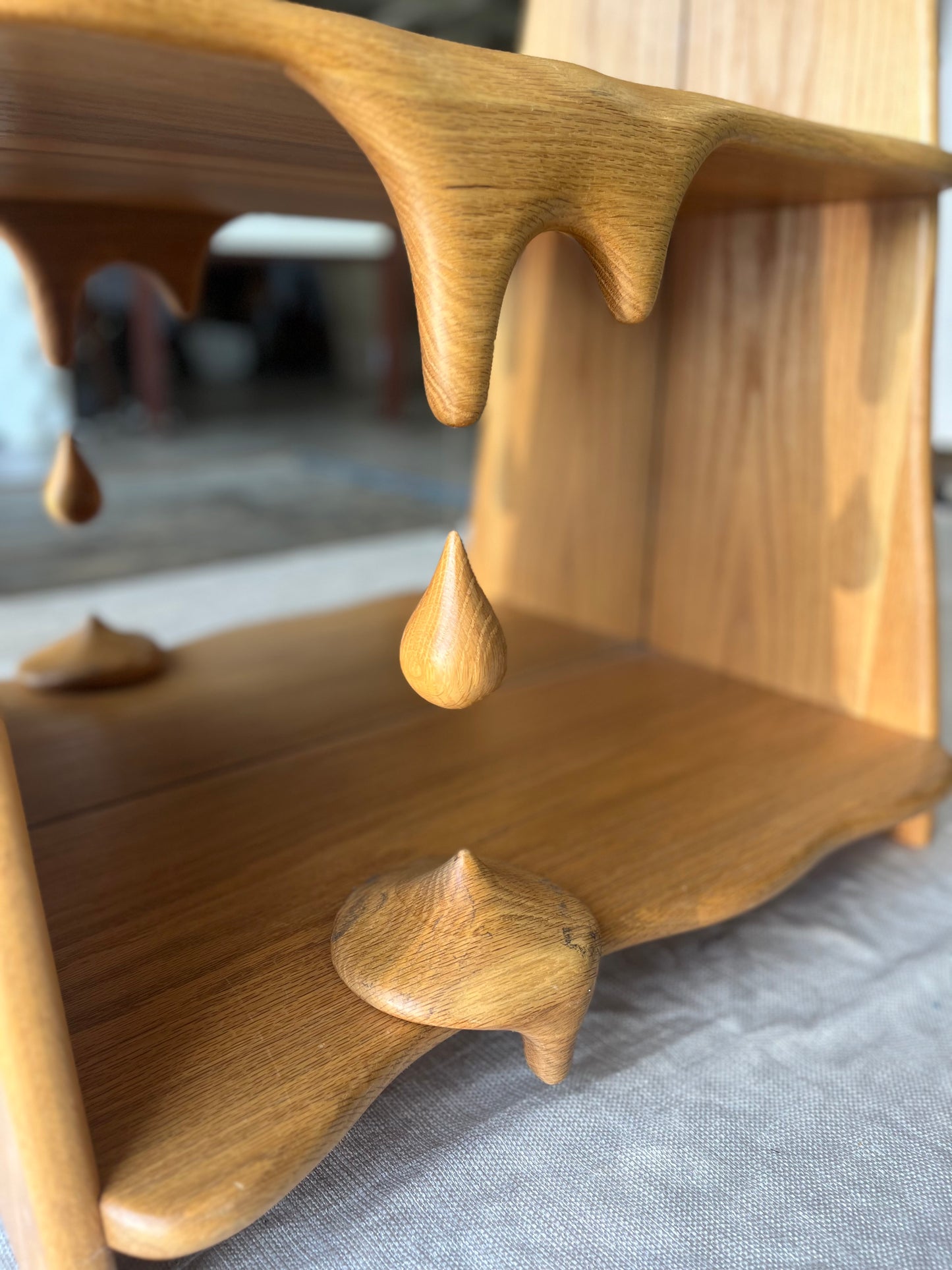 One of A Kind - Melty Bookcase