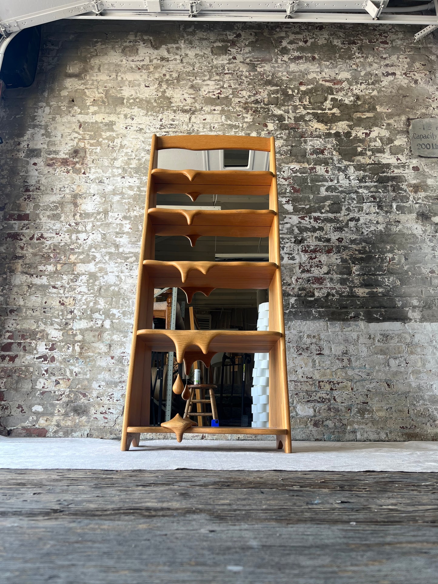 One of A Kind - Melty Bookcase