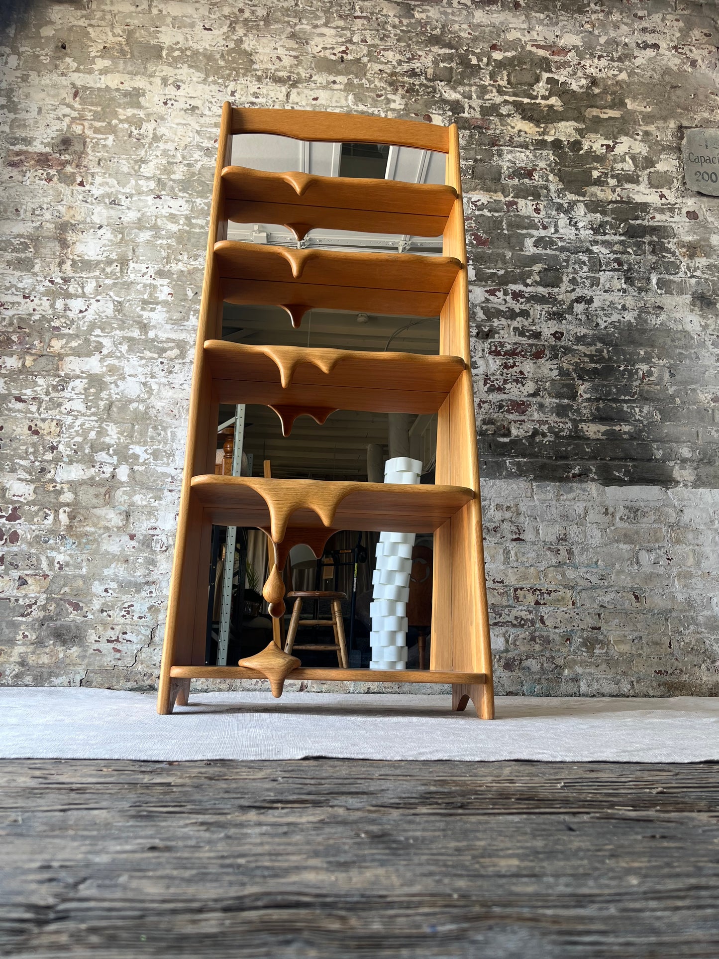 One of A Kind - Melty Bookcase