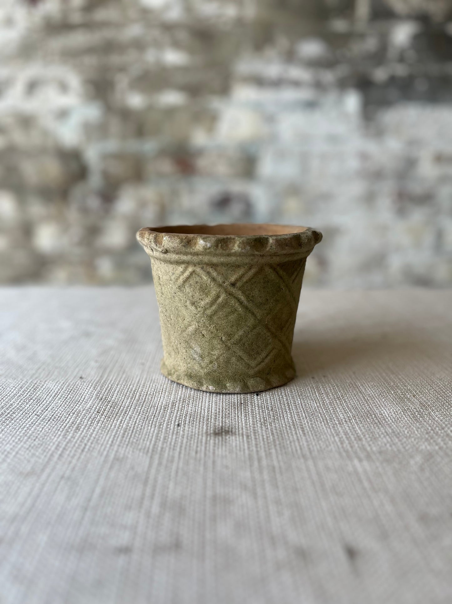 Real Moss Planter (Small)