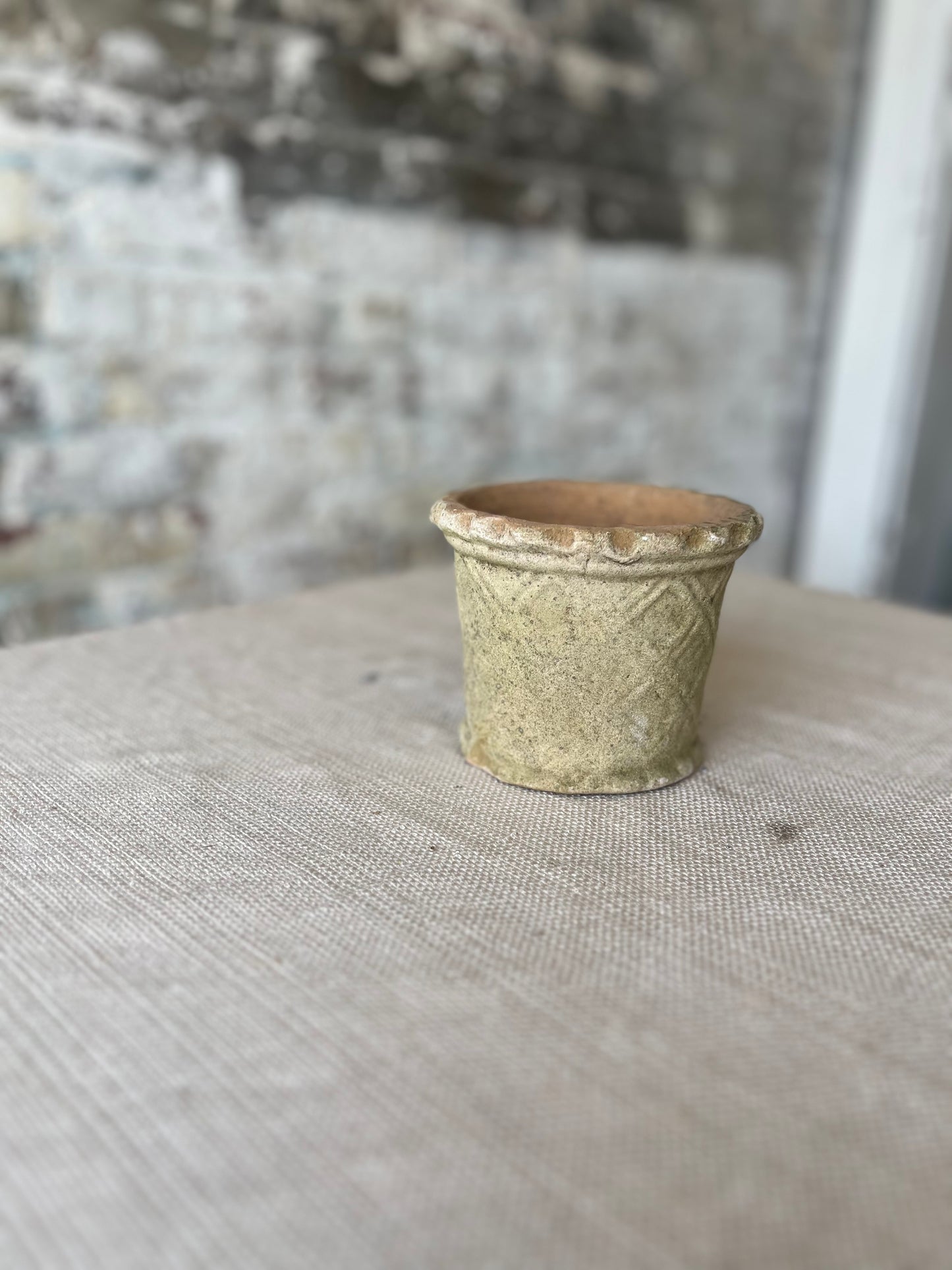 Real Moss Planter (Small)