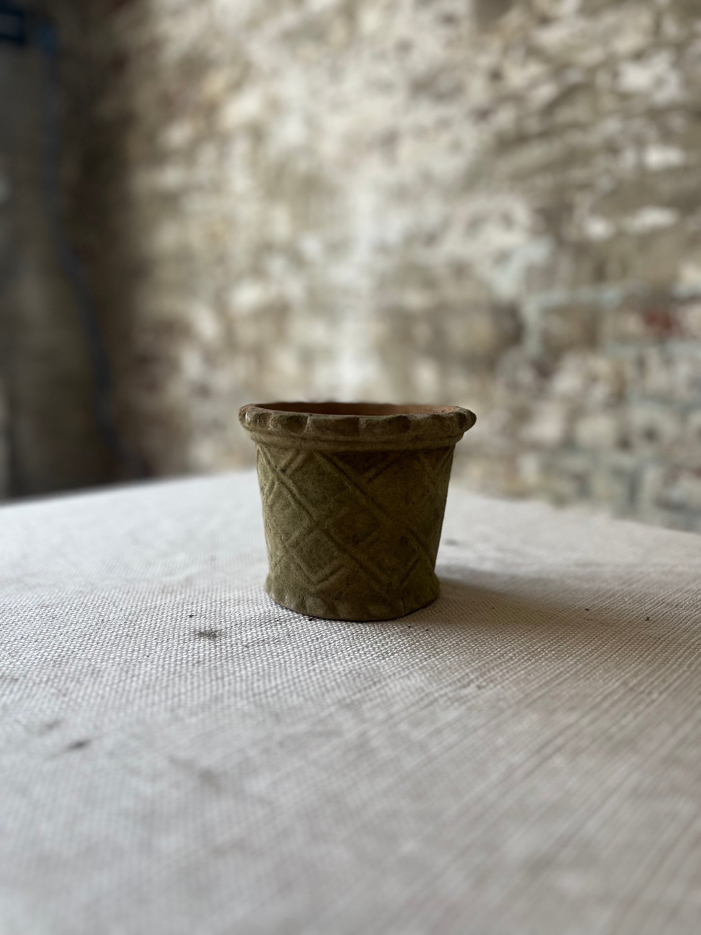 Real Moss Planter (Small)