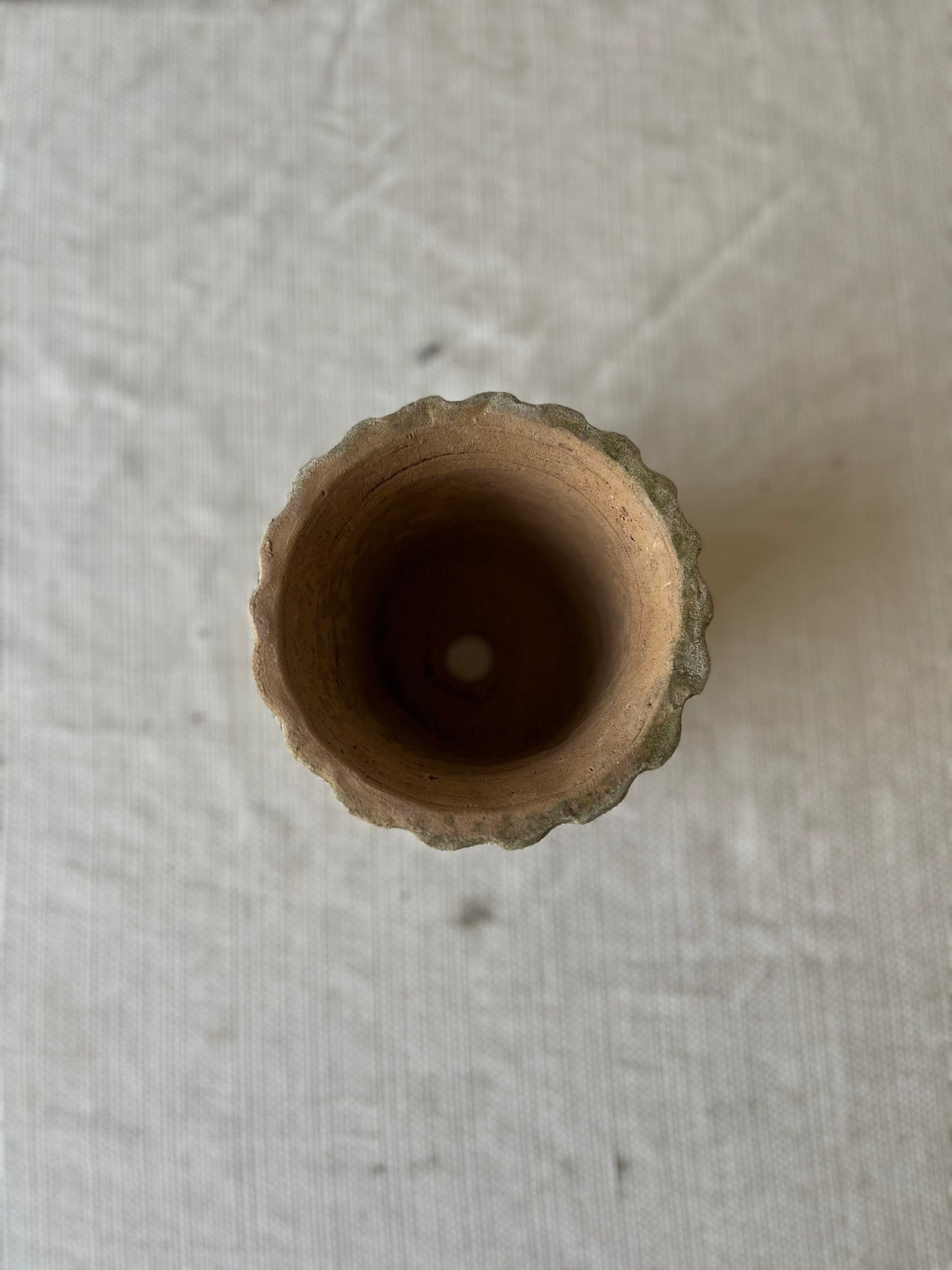 Real Moss Planter (Small)