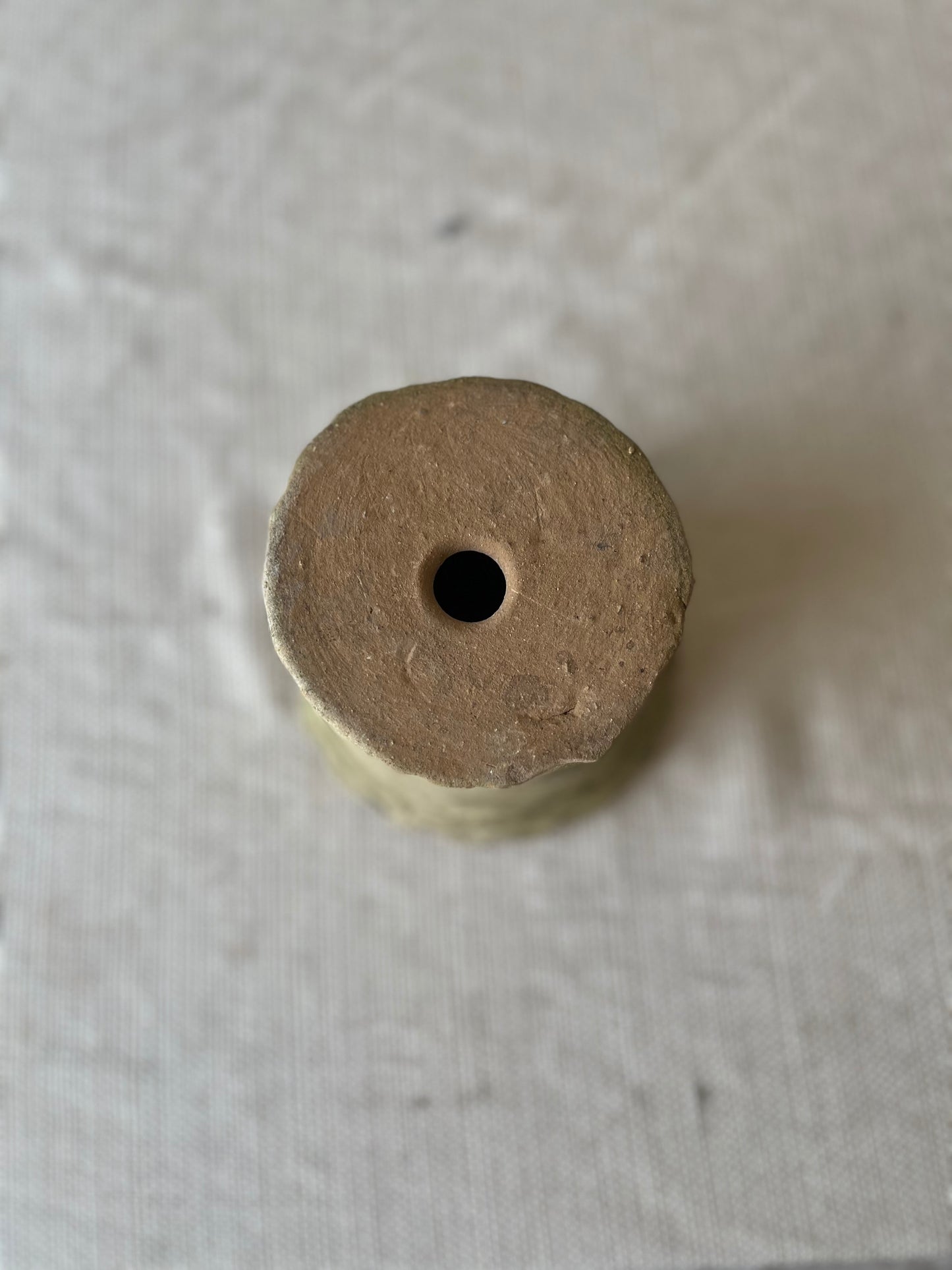 Real Moss Planter (Small)