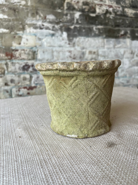 Real Moss Planter (Small)