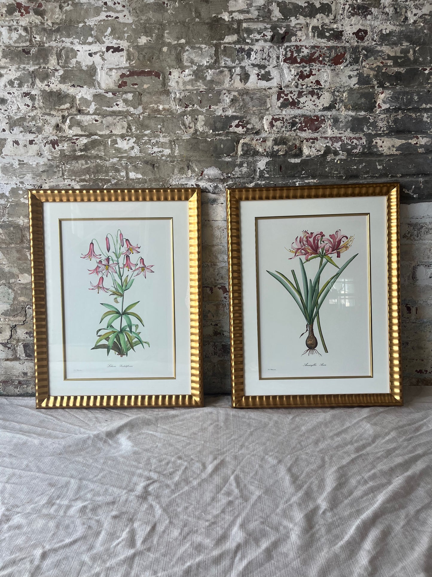 Vintage Botanical Floral Prints - Gold Framed Wall Art - Set of 2