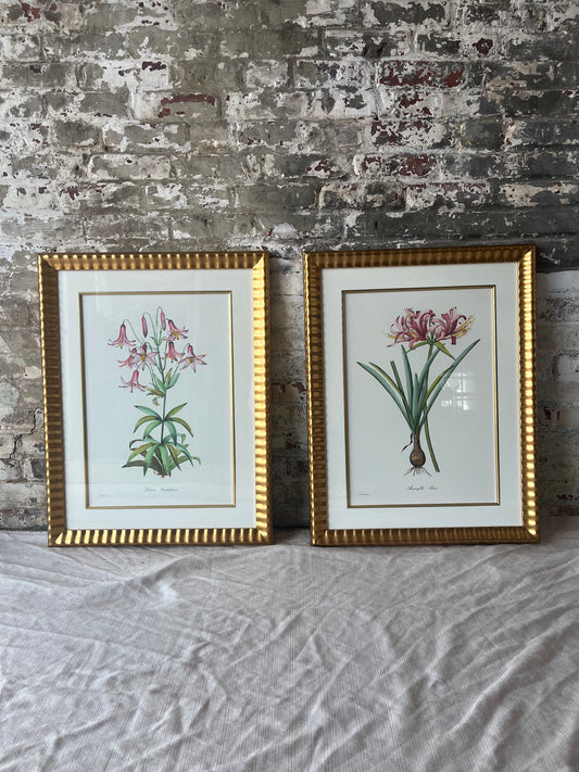 Vintage Botanical Floral Prints - Gold Framed Wall Art - Set of 2