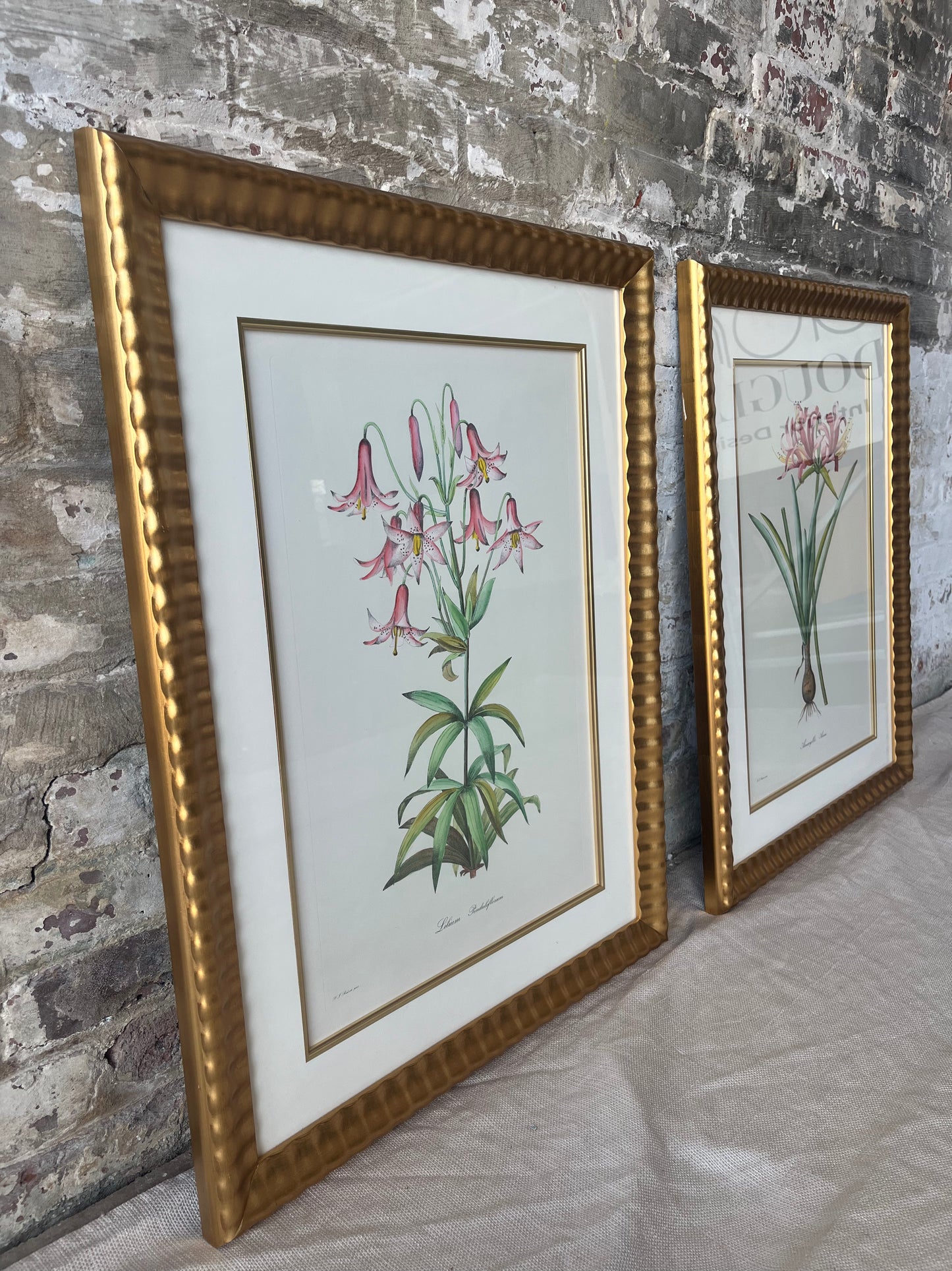 Vintage Botanical Floral Prints - Gold Framed Wall Art - Set of 2