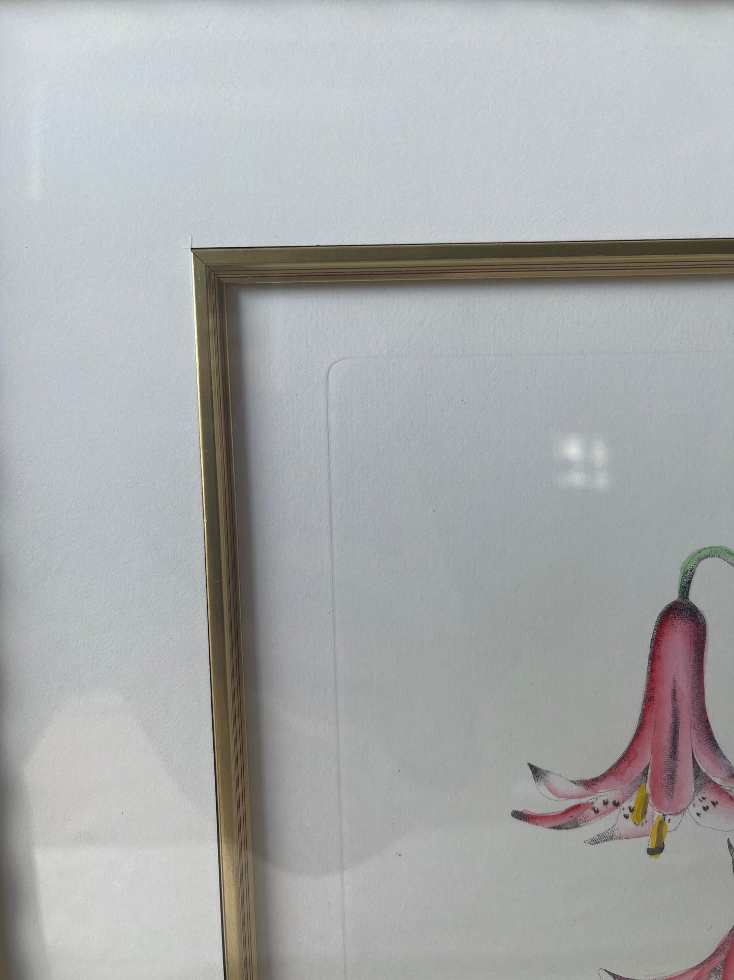 Vintage Botanical Floral Prints - Gold Framed Wall Art - Set of 2