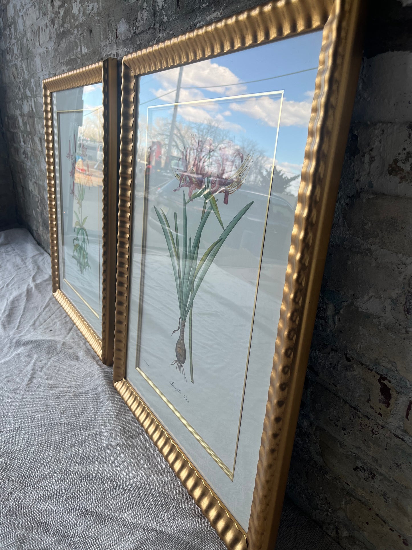 Vintage Botanical Floral Prints - Gold Framed Wall Art - Set of 2